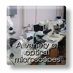 A variety of optical microscopy
