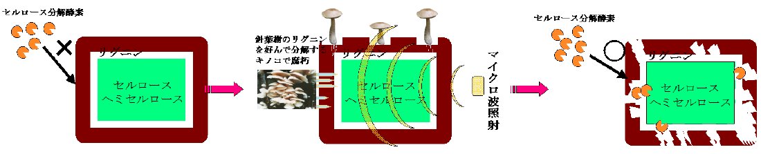 田邊俊朗 (2005-01-31)  第2図
