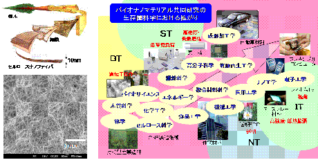 バイオナノマテリアル共同研究 (研究代表者: 矢野浩之) バイオナノマテリアル共同研究 (研究代表者: 矢野浩之)