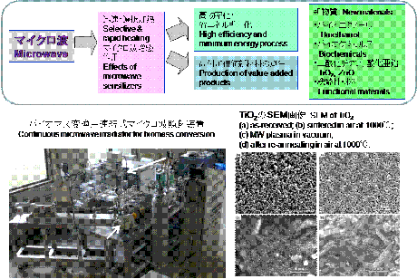 バイオマス・物質変換のためのマイクロ波高度利用共同研究 (研究代表者: 篠原真毅) バイオマス・物質変換のためのマイクロ波高度利用共同研究 (研究代表者: 篠原真毅)