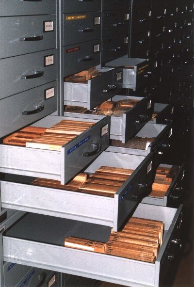 Wood specimens (53 kB)