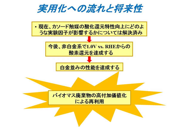 XCh10
