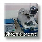 Ultrathin sectioning
