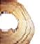 Xylariumisection of wood collectionj