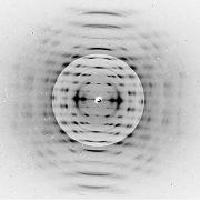Fiber diffraction diagram from a single G fiber.