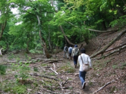 photo16.jpg