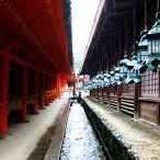 Kasuga-taisha shrine