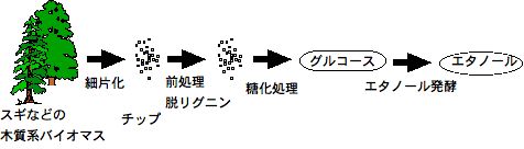 田邊俊朗 (2004-10-25) 図 1