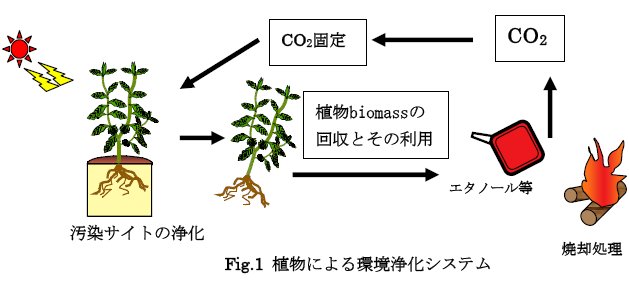 廣岡孝志： 第5回（2004年第3回）定例オープンセミナー（2004-12-24） Fig. 1