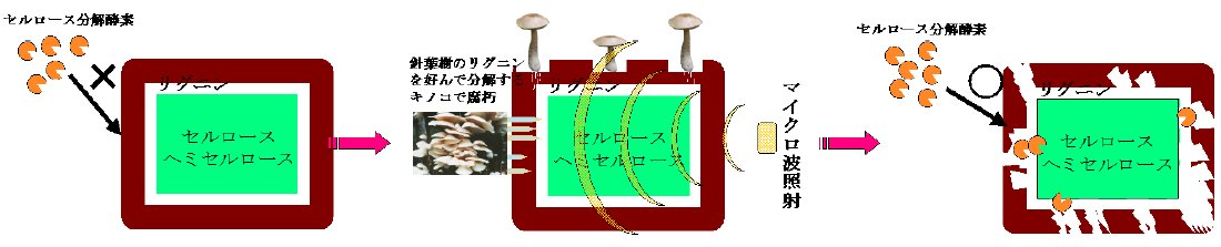 田邊俊朗 (2005-01-31)  第2図