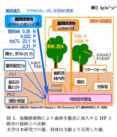 藤田素子： 第55回定例オープンセミナー（2007年7月4日） 図 1