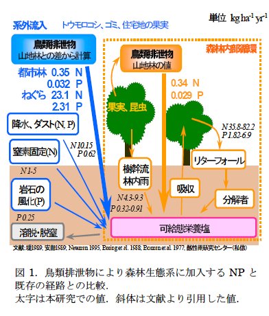 藤田素子: 第55回定例オープンセミナー(2007年7月4日) 図 1 藤田素子: 第55回定例オープンセミナー(2007年7月4日) 図 1