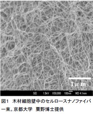 矢野浩之： 第123回定例オープンセミナー（第123回定例オープンセミナー） 図 1.