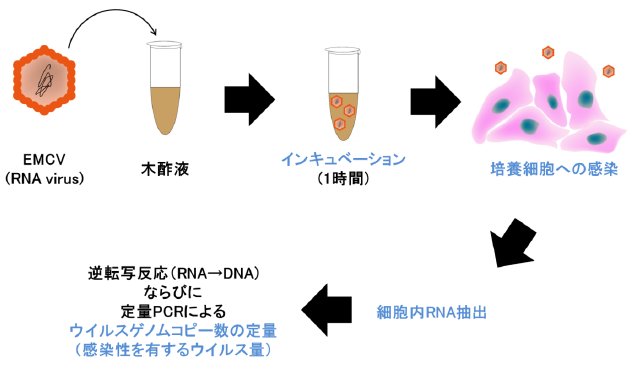 山元誠司： 第133回定例オープンセミナー資料（2011年7月20日） 図 2