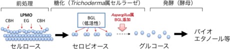 伏信進矢： 第175回定例オープンセミナー資料（2013年12月11日） 図 1