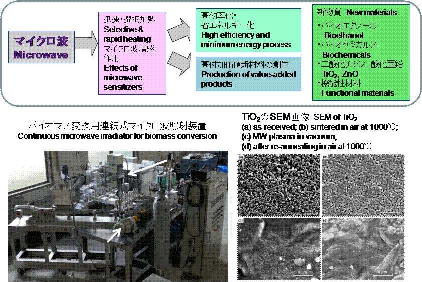 バイオマス・物質変換のためのマイクロ波高度利用共同研究 （研究代表者： 篠原真毅）