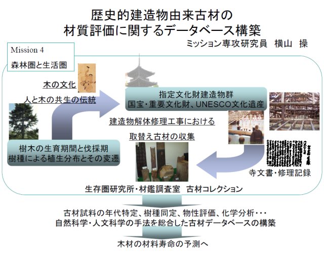 Yokoyama 2006