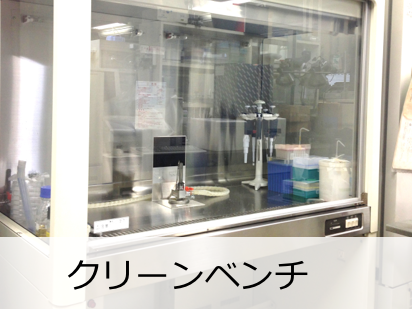 クリーンベンチ