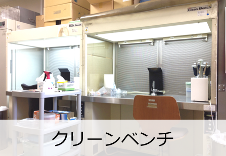 クリーンベンチ