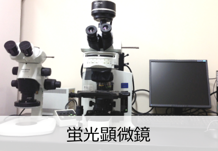 顕微鏡