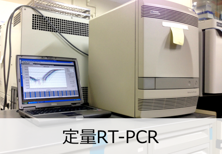 定量RT-PCR