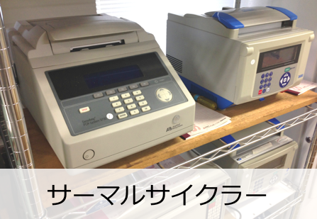 サーマルサイクラー