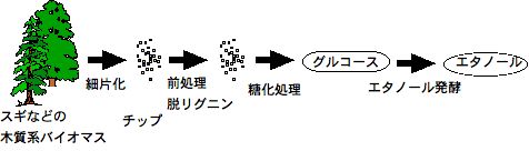 S0002_Tanabe