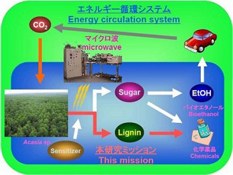 大橋康典： 第95回定例オープンセミナー（2009年7月8日）