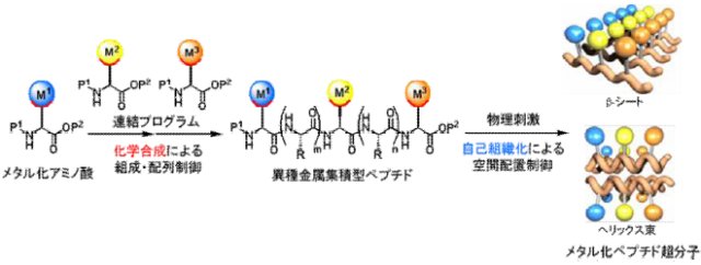 高谷光： 第80回定例オープンセミナー（2008年10月1日） スキーム 1．メタル化ペプチドを用いる金属の組成・配列・空間配置制御