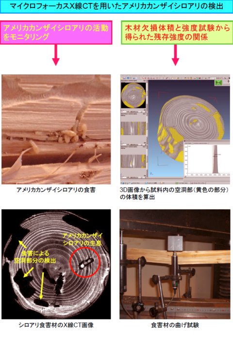 簗瀬佳之 2009