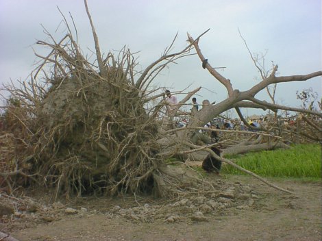 山根悠介 2009