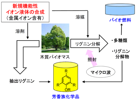 粳間由幸： 2010（平成22）年度 生存圏科学萌芽研究