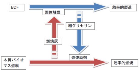 西宮耕栄： 2010（平成22）年度 生存圏科学萌芽研究