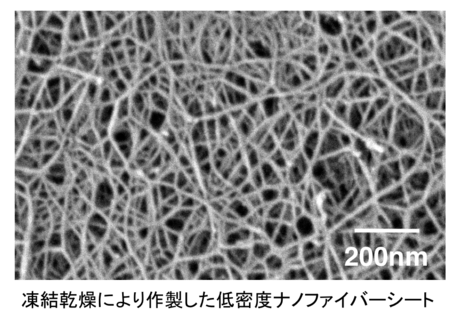 阿部賢太郎： 2011（平成23）年度　生存圏科学萌芽研究