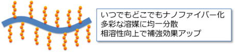 伊福伸介： 2012（平成24）年度　生存圏科学萌芽研究