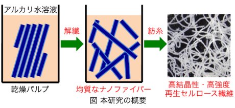 阿部賢太郎： 2014（平成26）年度　生存圏科学萌芽研究　図