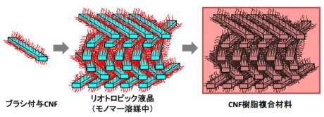 榊原圭太： 2014（平成26）年度　生存圏科学萌芽研究　図