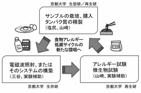 山崎正幸： 2014（平成26）年度　生存圏科学萌芽研究　図