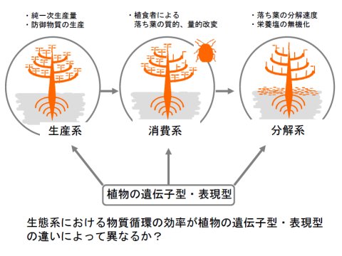 大串隆之 2009-05