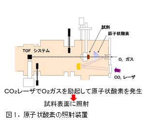 畑俊充： 2010（平成22）年度 生存圏ミッション研究