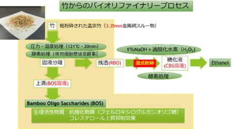 椎葉究： 2014（平成26）年度　生存圏ミッション研究　図 1