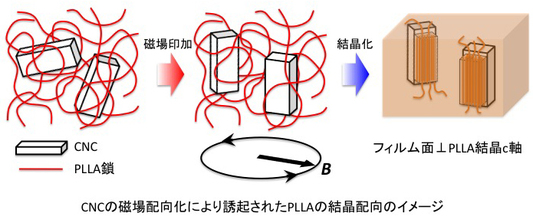 久住亮介： 2015（平成27）年度生存圏科学萌芽研究　図