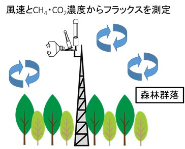 伊藤雅之： 2016（平成28）年度生存圏科学萌芽研究　図