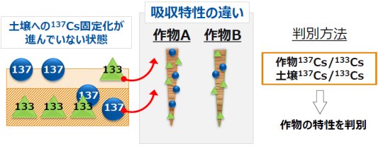 二瓶直登： 2016（平成28）年度生存圏ミッション研究　図