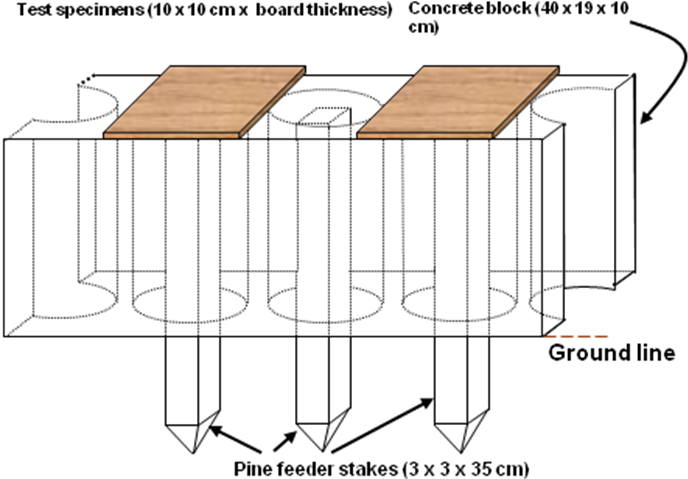Fig. 1. Installation details of specimens and feeder stakes in the Living Sphere Simulation Field (LSF) of RISH, Kagoshima, Japan. S0210_Cihat Fig.