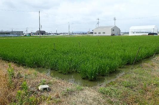 高林純示： 2017（平成29）年度生存圏ミッション研究　図