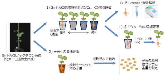 二瓶直登： 2017（平成29）年度生存圏ミッション研究　図