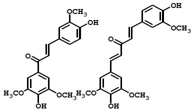 Fig. 3　広葉樹リグニンの酸化分解物に含まれる長波長UV吸収新規化合物