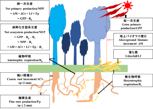 S0231_Tran_Fig1s