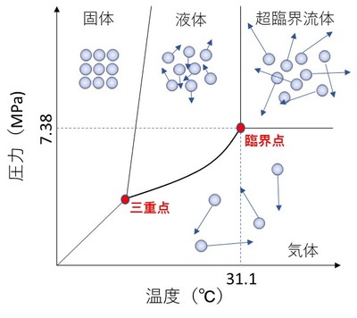 Okubayashi 2018